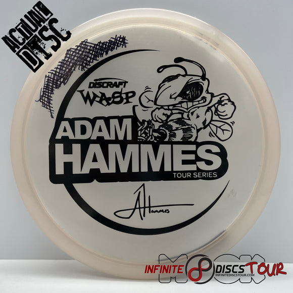Wasp Metallic Z Tour Series 2021 (Adam Hammes) Used (8. Clean)
